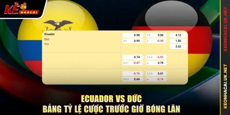 Ecuador vs Đức - bảng tỷ lệ cược trước giờ bóng lăn
